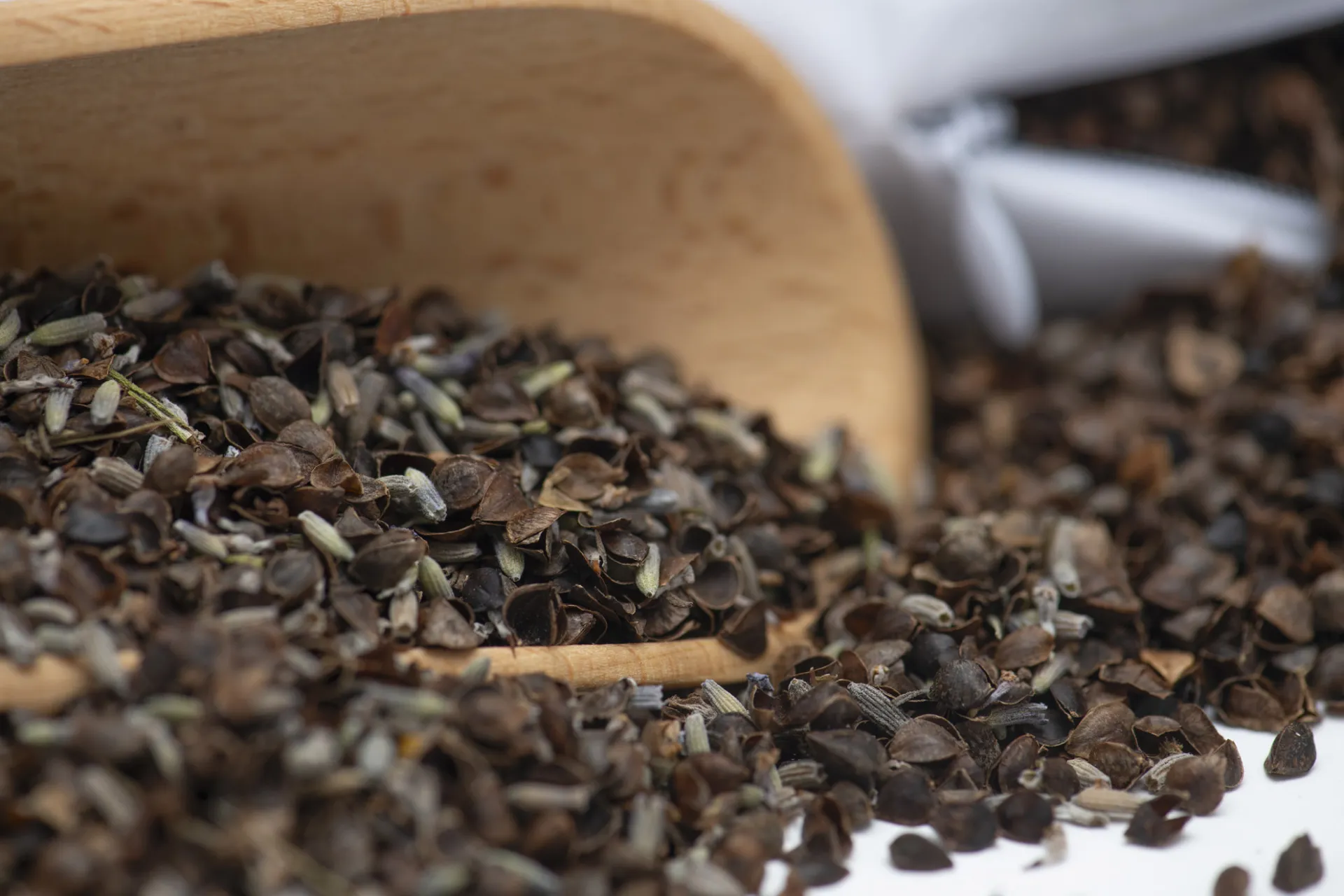 Ekobreg 290620224 20