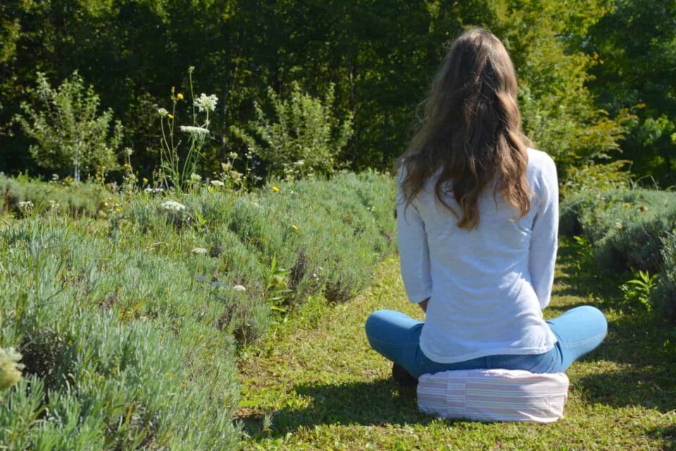 Zafu Za Meditaciju